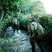 Armadillo - galeria zdjęć - filmweb