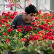 Ensilumi - galeria zdjęć - filmweb