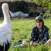 Il Comandante e la cicogna - galeria zdjęć - filmweb