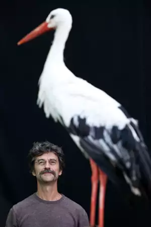 W&oacute;dz i bocian - galeria zdjęć - filmweb