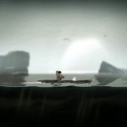 Never Alone: Foxtales - galeria zdjęć - filmweb
