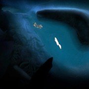Never Alone: Foxtales - galeria zdjęć - filmweb