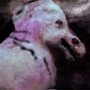 Lato gładkiego asfaltu - galeria zdjęć