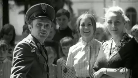 Przygody psa Cywila - galeria zdjęć - filmweb