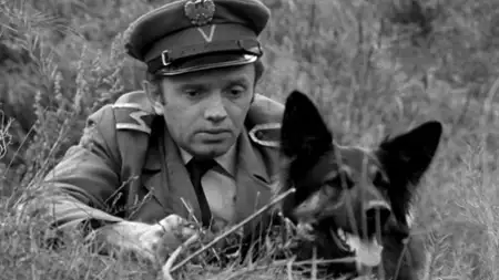 Przygody psa Cywila - galeria zdjęć - filmweb