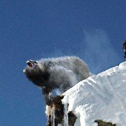 Góra śmierci - galeria zdjęć - filmweb