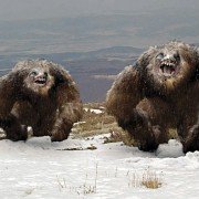 Góra śmierci - galeria zdjęć - filmweb