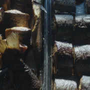 Bałtyk - galeria zdjęć - filmweb