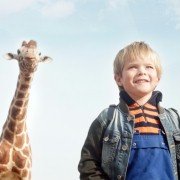 Dikkertje Dap - galeria zdjęć - filmweb