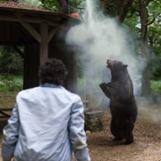 Cocaine Bear - galeria zdjęć - filmweb