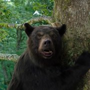 Cocaine Bear - galeria zdjęć - filmweb