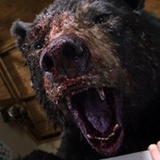 Cocaine Bear - galeria zdjęć - filmweb