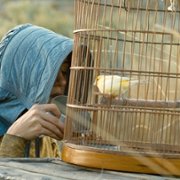 Meek's Cutoff - galeria zdjęć - filmweb
