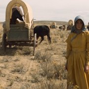 Meek's Cutoff - galeria zdjęć - filmweb