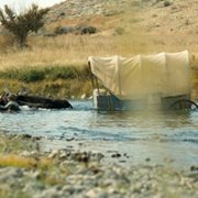 Meek's Cutoff - galeria zdjęć - filmweb