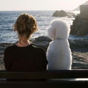 Nietypowa wdowa - galeria zdjęć - filmweb