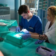 Doktor Adam Krajewski, chirurg
