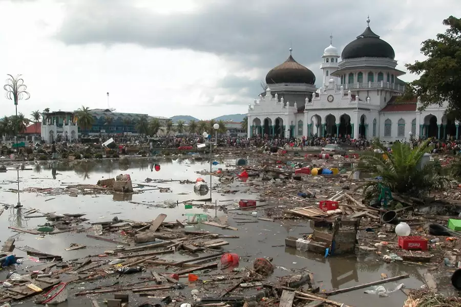 Tsunami: Wyścig z czasem - galeria zdjęć - filmweb
