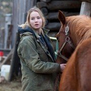 Do szpiku kości - galeria zdjęć - filmweb