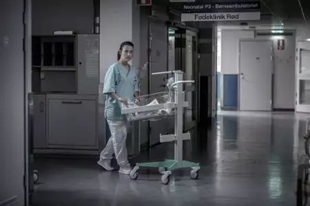 Śnieżne anioły - galeria zdjęć - filmweb