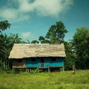 Fuck for Forest - galeria zdjęć - filmweb