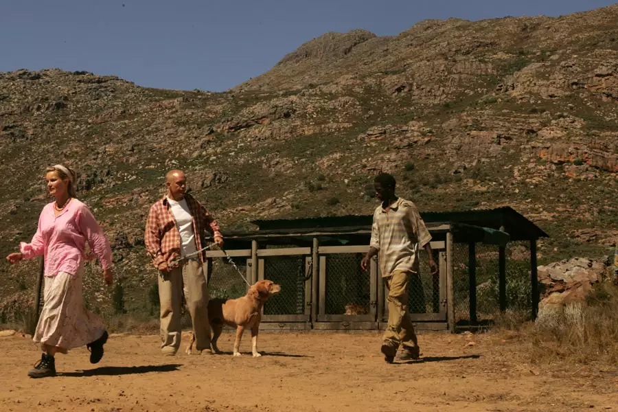 Hańba - galeria zdjęć - filmweb