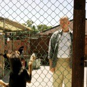 Disgrace - galeria zdjęć - filmweb