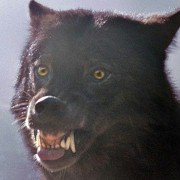 An American Haunting - galeria zdjęć - filmweb