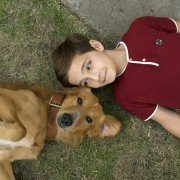 A Dog's Purpose - galeria zdjęć - filmweb