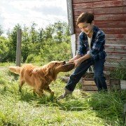 A Dog's Purpose - galeria zdjęć - filmweb