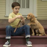 A Dog's Purpose - galeria zdjęć - filmweb
