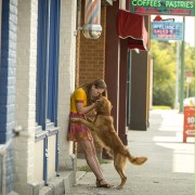 A Dog's Purpose - galeria zdjęć - filmweb
