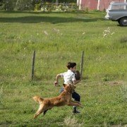 A Dog's Purpose - galeria zdjęć - filmweb