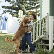 A Dog's Purpose - galeria zdjęć - filmweb