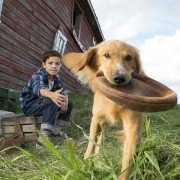 A Dog's Purpose - galeria zdjęć - filmweb