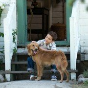 A Dog's Purpose - galeria zdjęć - filmweb