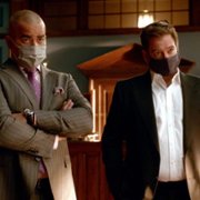 Bull - galeria zdjęć - filmweb