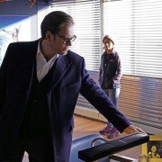 Bull - galeria zdjęć - filmweb
