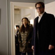 Bull - galeria zdjęć - filmweb