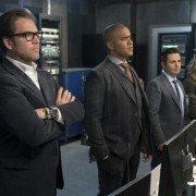 Bull - galeria zdjęć - filmweb