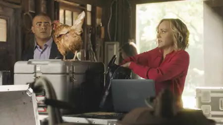 Bull - galeria zdjęć - filmweb