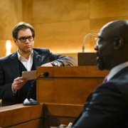 Bull - galeria zdjęć - filmweb
