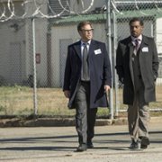 Bull - galeria zdjęć - filmweb