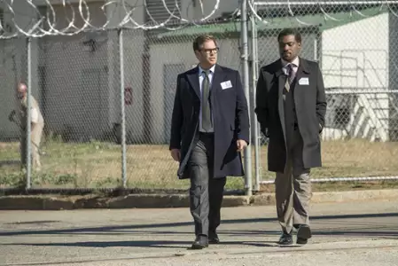 Bull - galeria zdjęć - filmweb