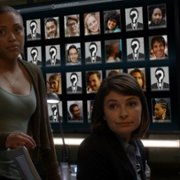 Bull - galeria zdjęć - filmweb