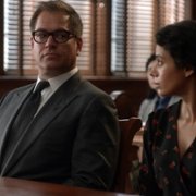 Bull - galeria zdjęć - filmweb