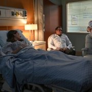 Bull - galeria zdjęć - filmweb