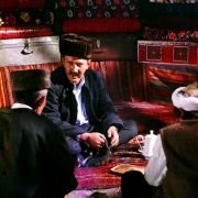 37 zastosowań martwej owcy - galeria zdjęć - filmweb