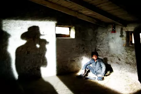 37 zastosowań martwej owcy - galeria zdjęć - filmweb