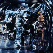 W paszczy szaleństwa - galeria zdjęć - filmweb